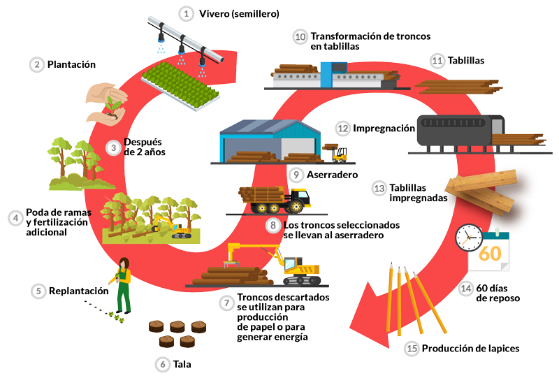 imagen que muestra el proceso para la elaboración de un lápiz.