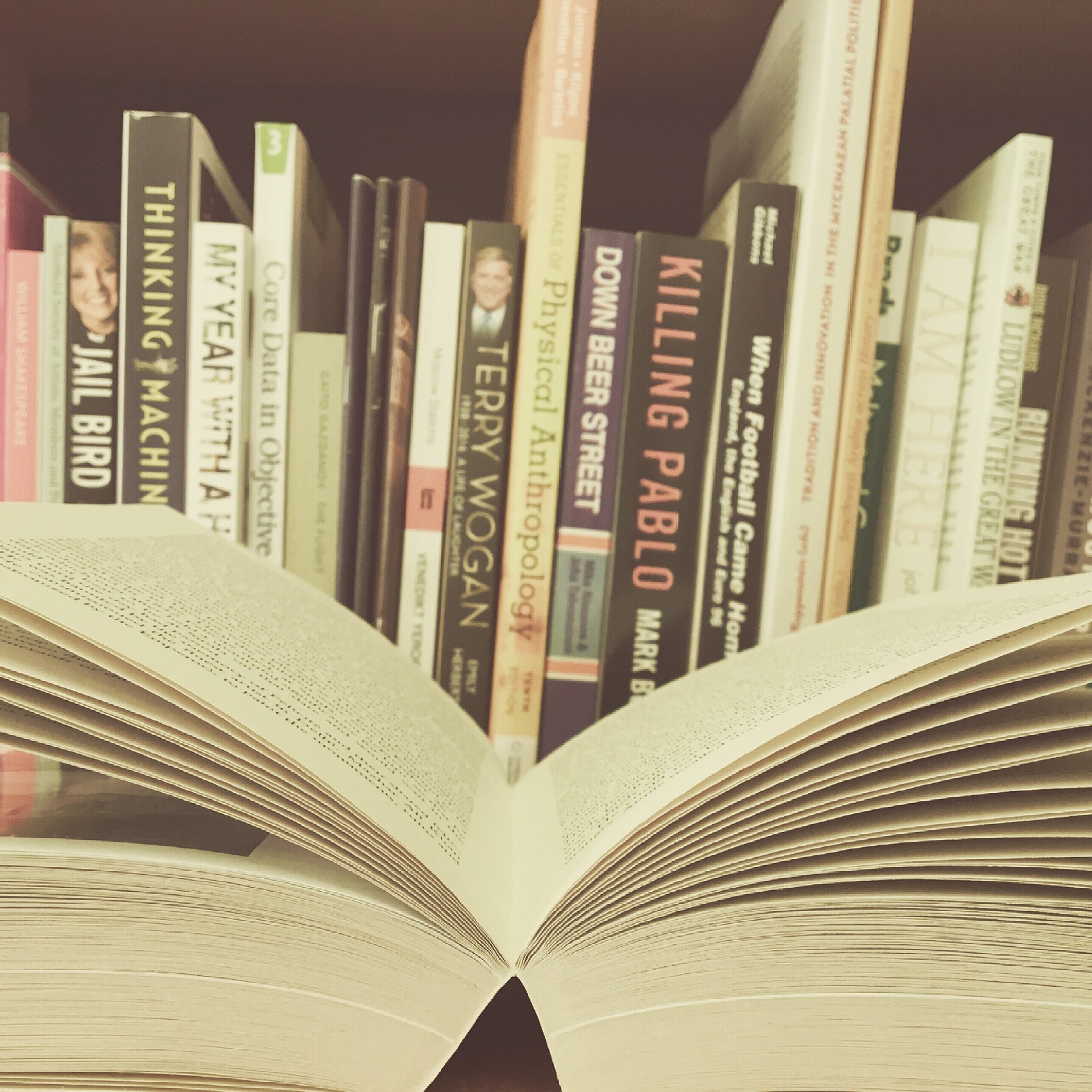 Estante con libros