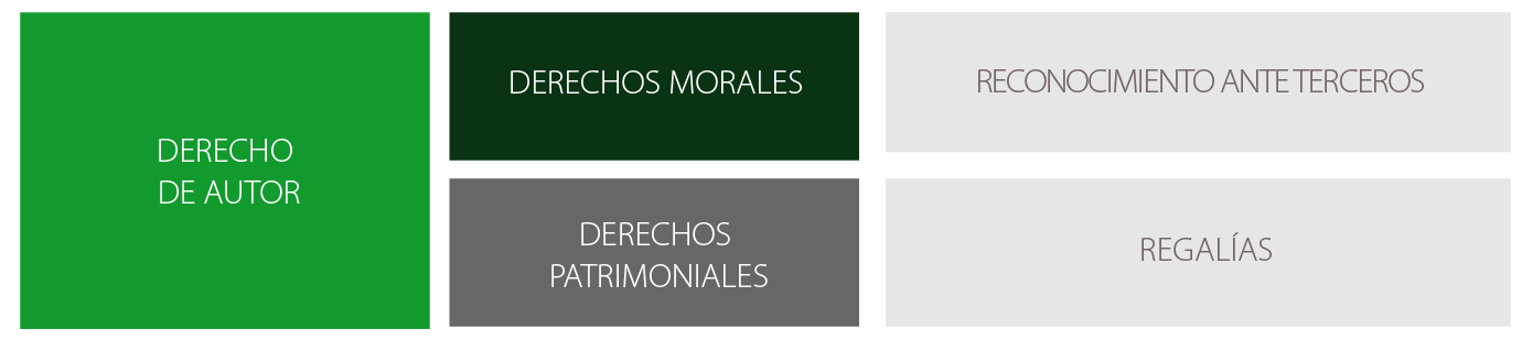 Imagen1