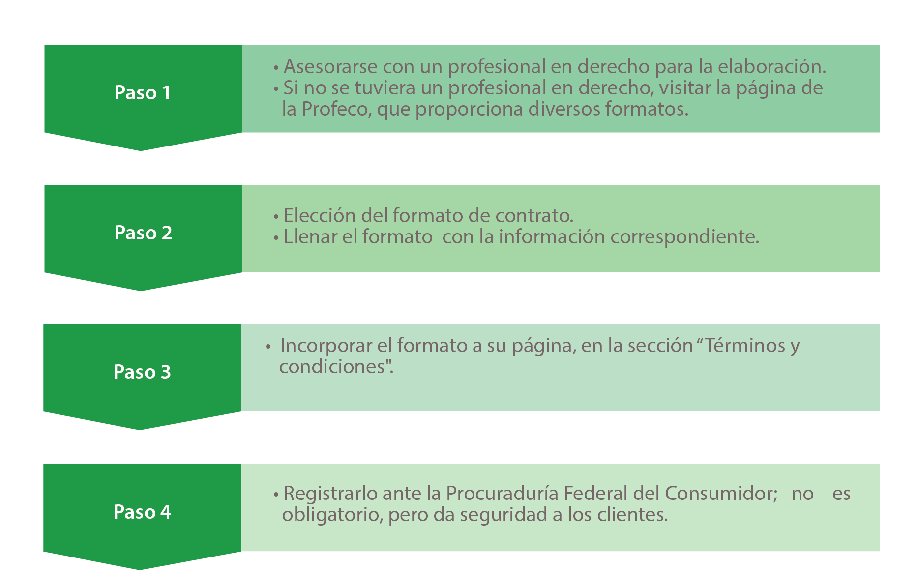 Esquema que muestra los pasos a seguir para la elaboración de los términos y condiciones bajo los cuales se regirán en la relación con sus clientes.