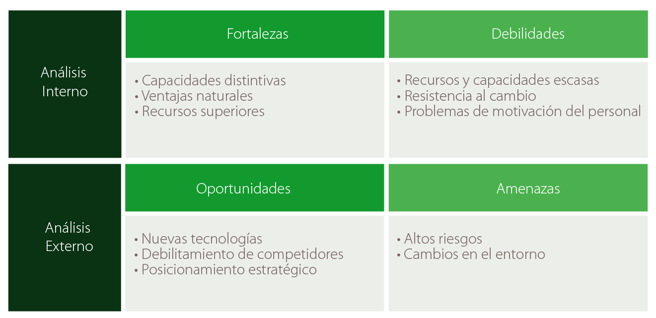 Visualización de la matriz FODA: Análisis interno y externo