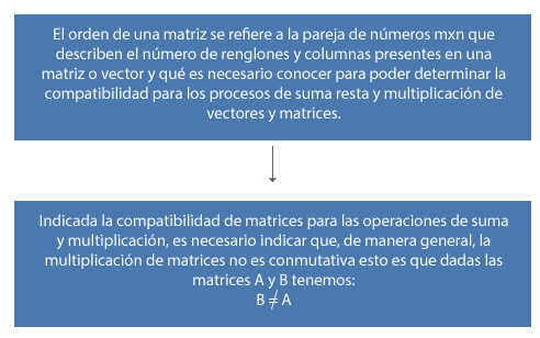 Orden de la matriz