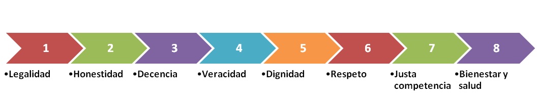 Esquema de los elementos principales del grupo