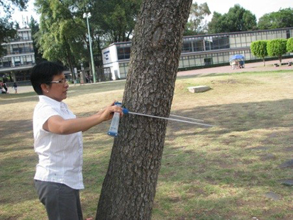 Fotografía del retiro de líderes APEC en la Casa Blanca