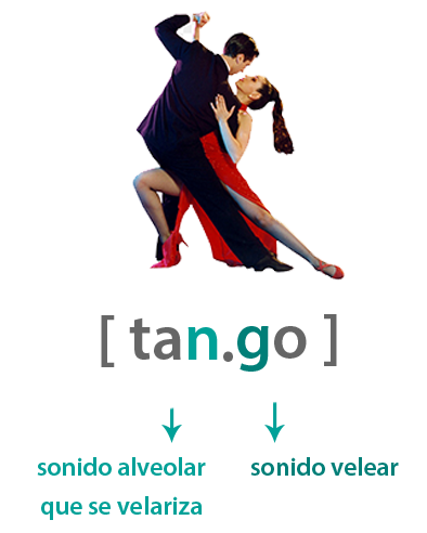  Alófonos