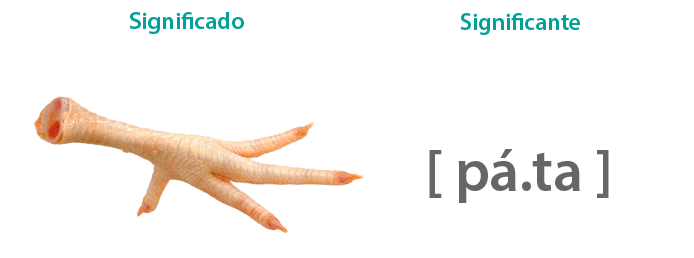  Cambio de fono