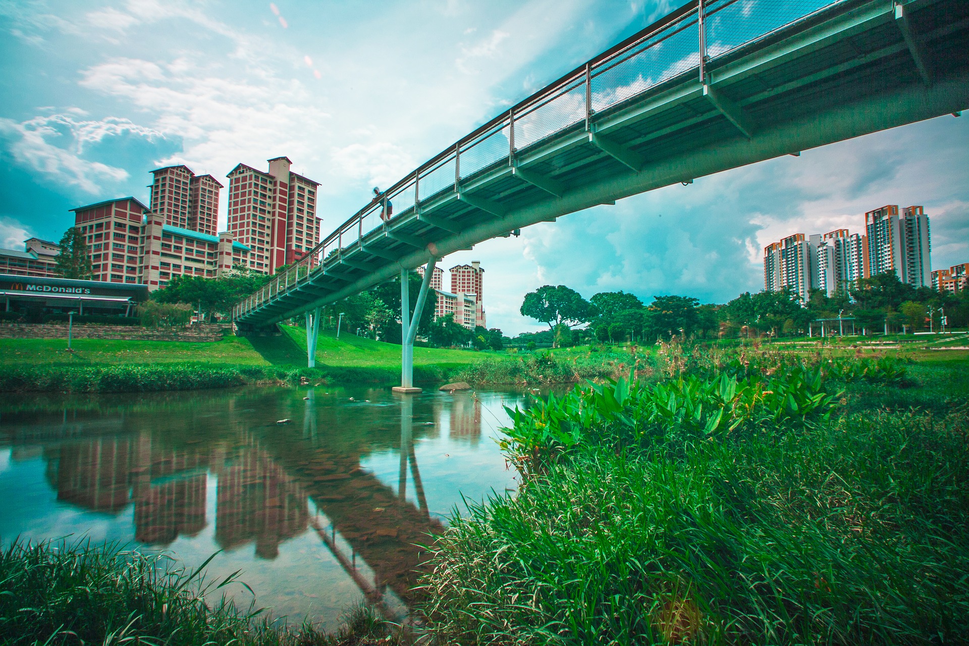 Puente sobe un lago.