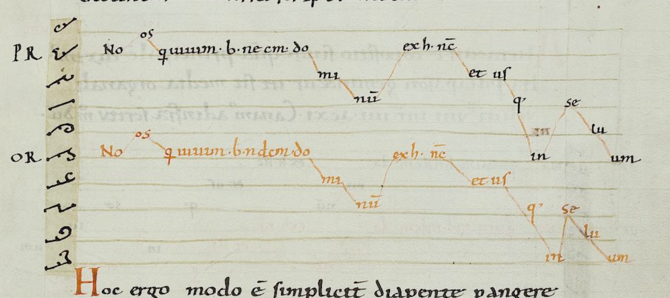Organum paralelo