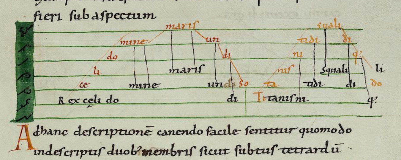 Organum paralelo