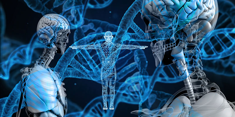Silueta humana con diversas imágenes dentro de esta.