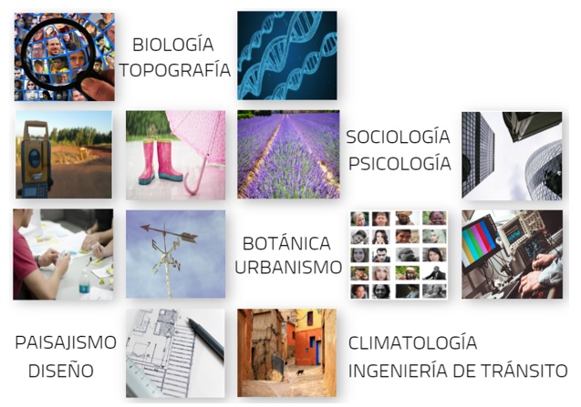 Collage con imágenes y títulos de diferentes disciplinas