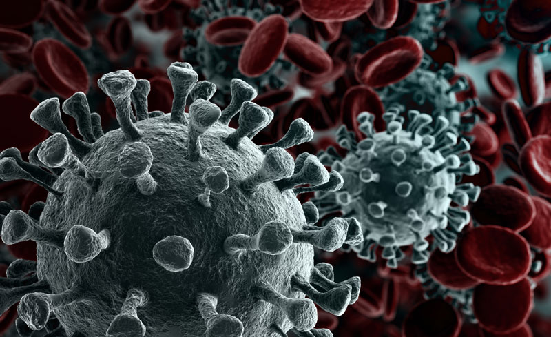 Coronavirus en 3D