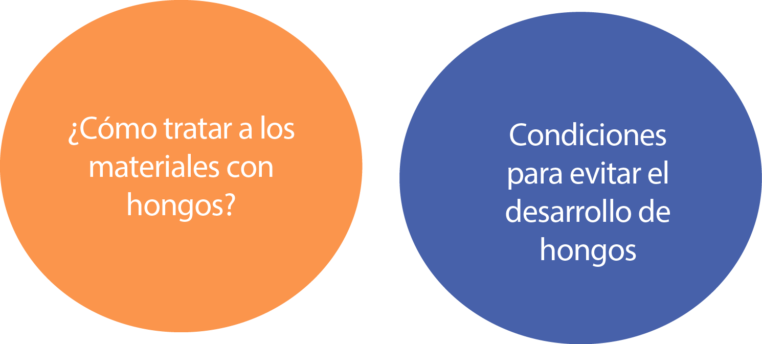 animacion
