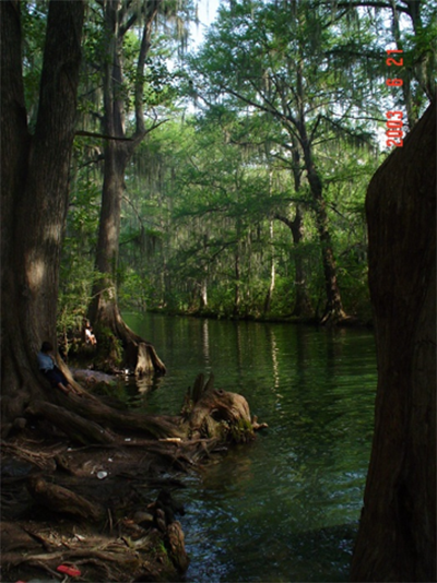 El sitio como recurso Fotografía de un río