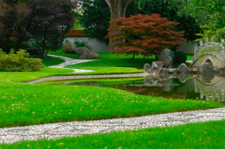 Estanque en jardín chino, Zürich