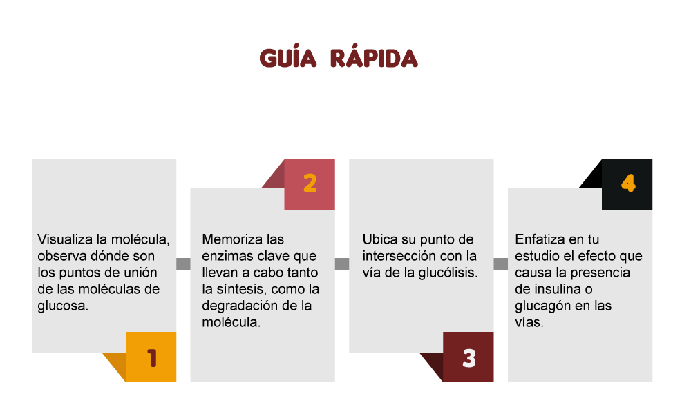 Infografía