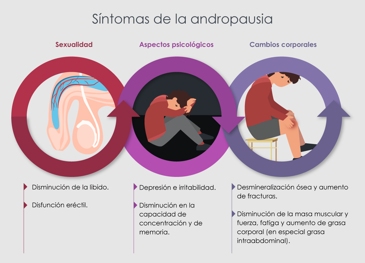 Andropausia