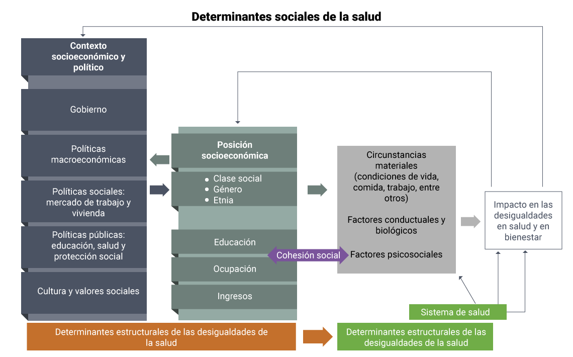 Esquema que muestra los determinantes sociales de la salud.