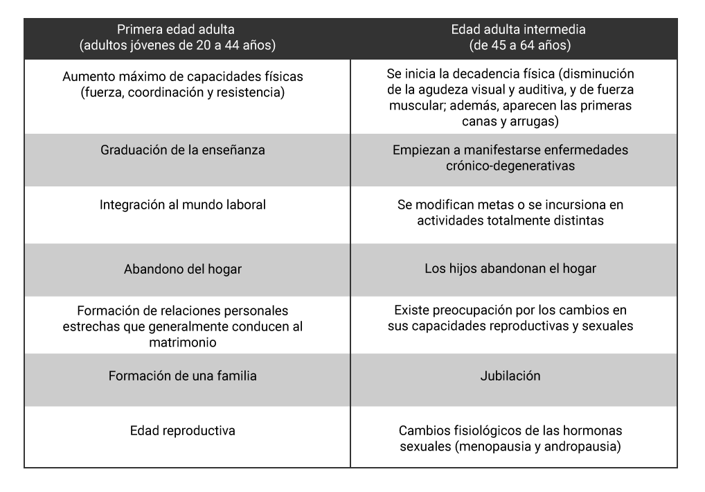 Tabla que muestra los cambios que se presentan en la primera edad adulta y edad adulta intermedia.