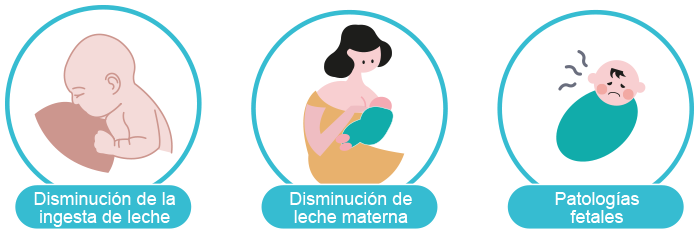Razones por las cuales los infantes no ganan peso