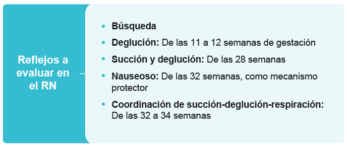 Esquema que enlista los reflejos de alimentación a evaluar en el RN.