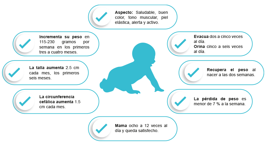 Signos que muestran que un bebé se está alimentando bien.