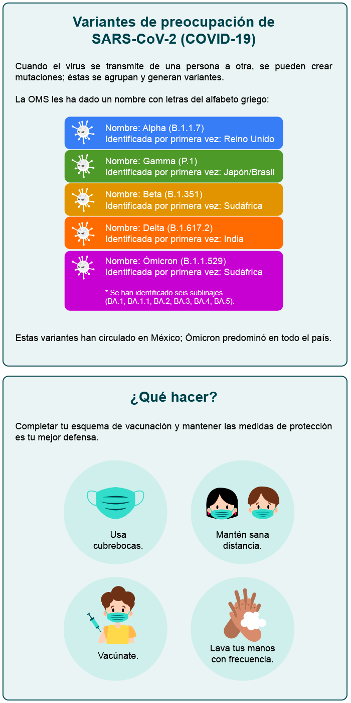 Infografía que muestra las variantes del SARS-CoV-2 y sus medidas de prevención.