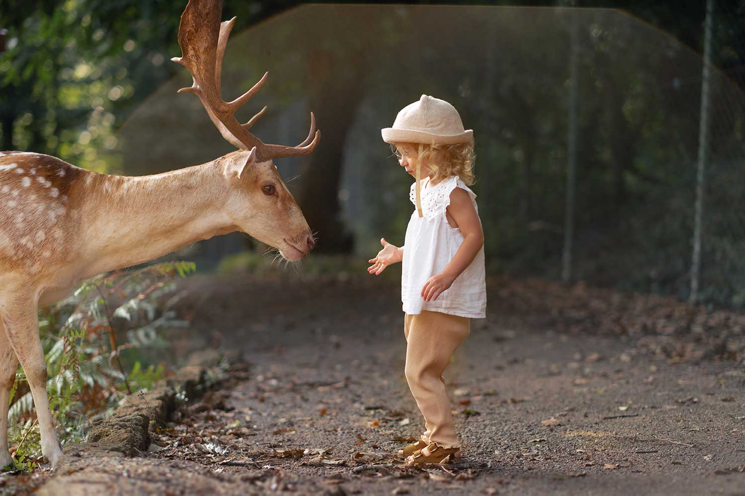 Fotografía de venado en entorno natural de frente a una niña. Fotografía de venado en entorno natural de frente a una niña.