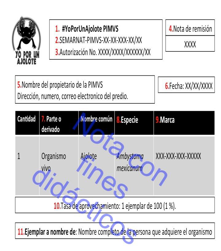 Ejemplo de una nota de remisión. Ejemplo de una nota de remisión.