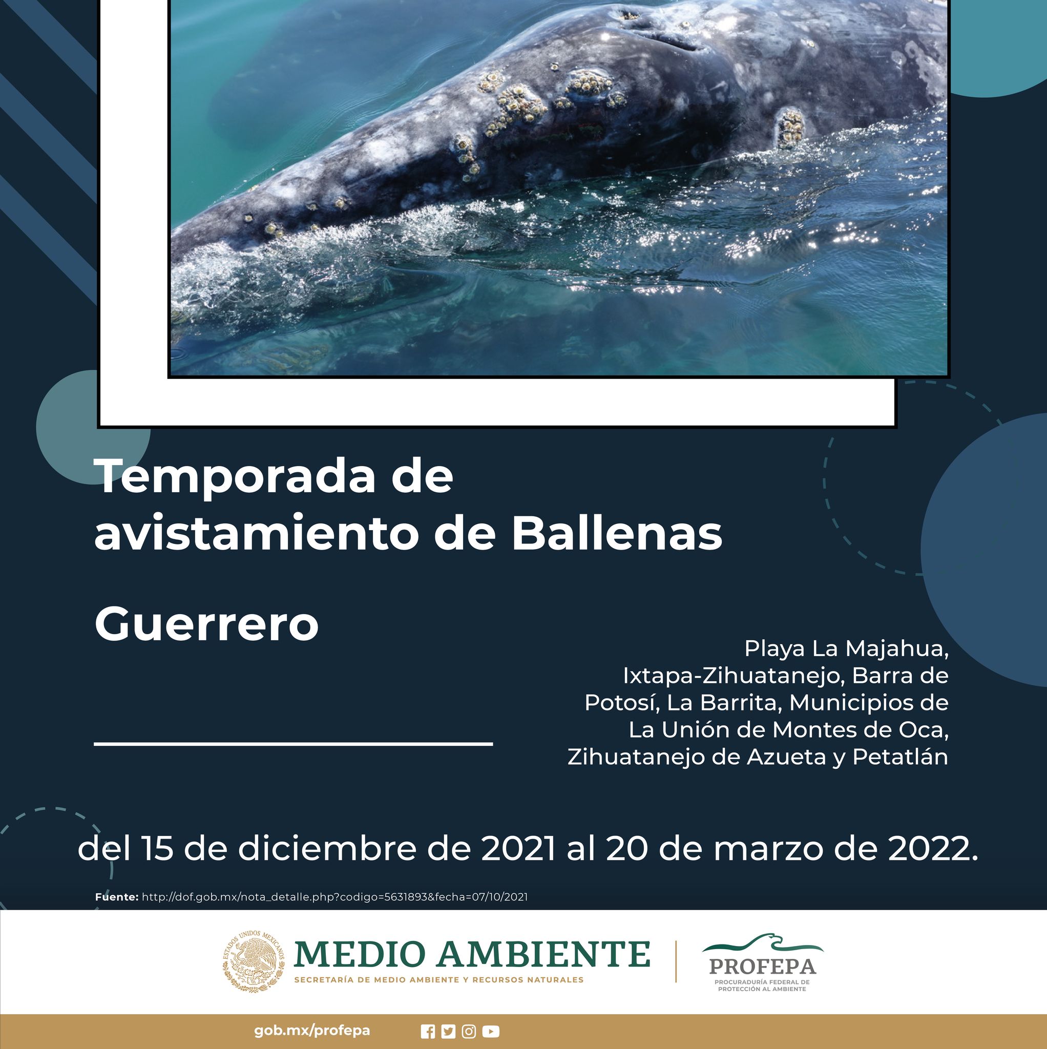 Poster sobre la época permitida para la observación de ballenas en
el año 2022. Poster sobre la época permitida para la observación de ballenas en
el año 2022.