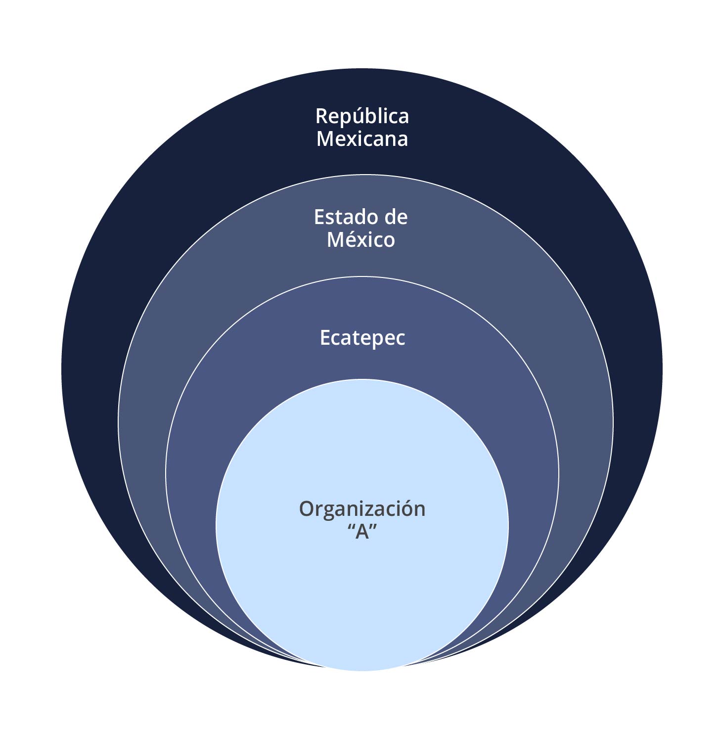 Los entornos y la organización Los entornos y la organización
