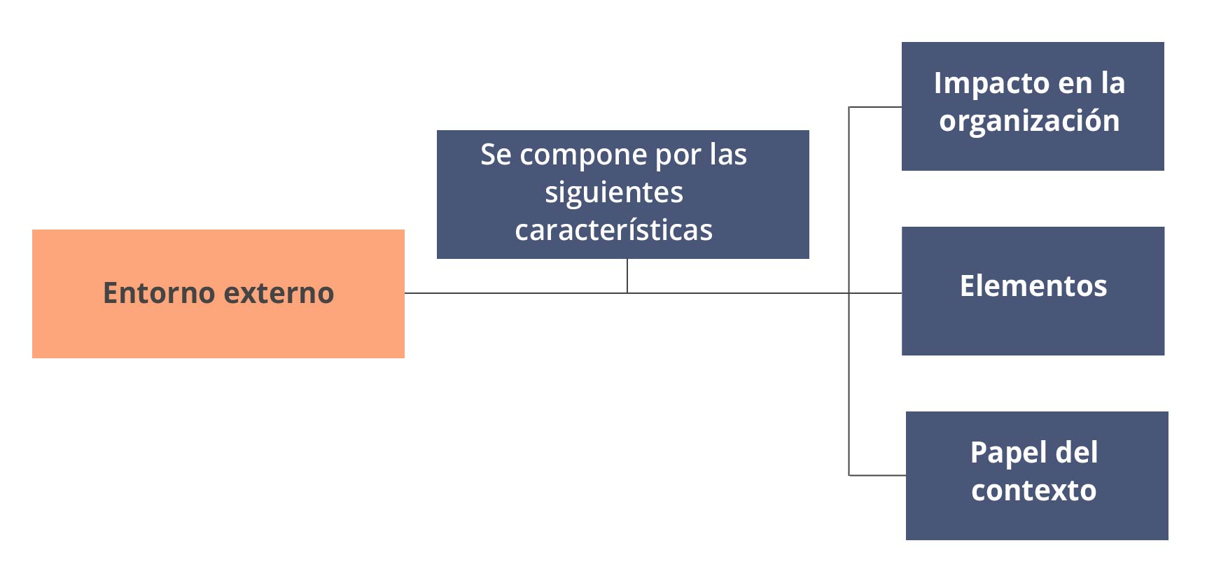 Esquema mostrando las características del entorno externo.