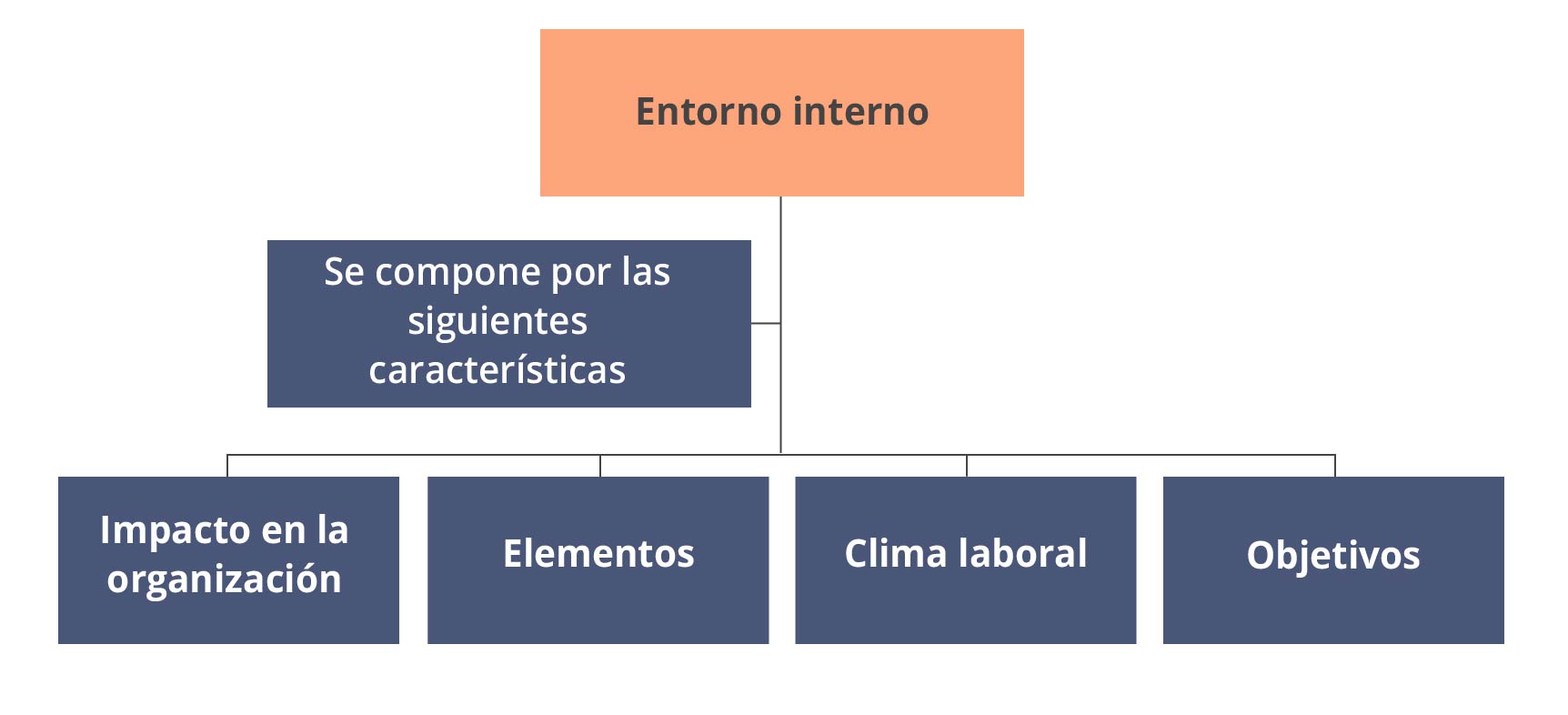 Esquema mostrando las características del entorno interno