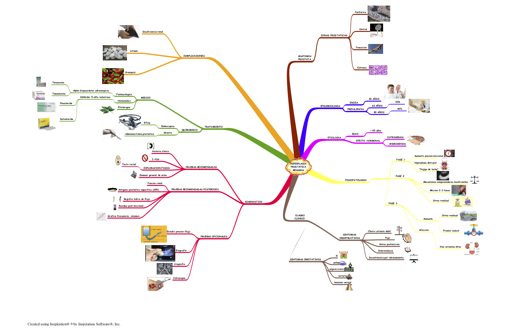 Mapa mental sobre hiperplasia prostática benigna