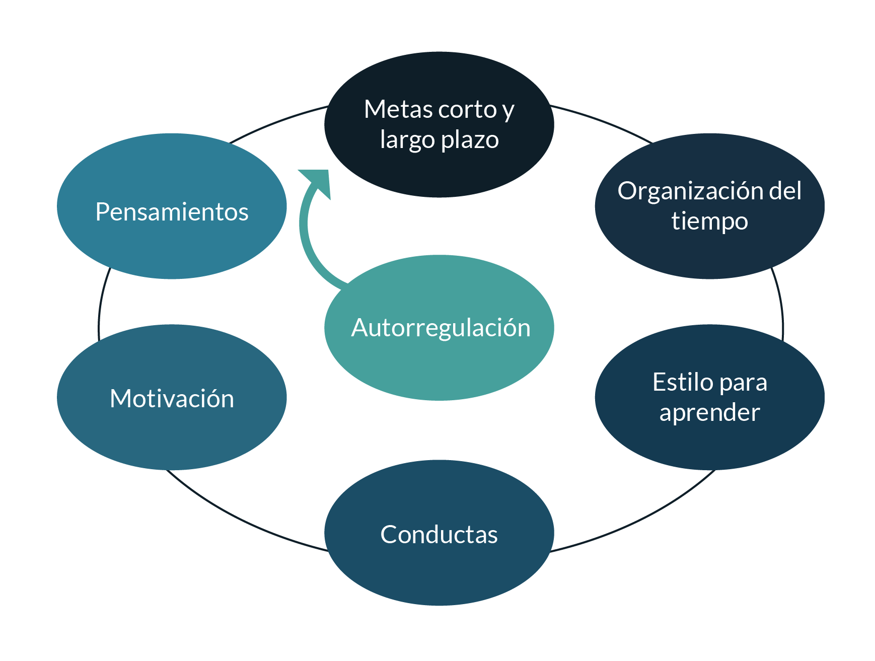 Proceso de autorregulación