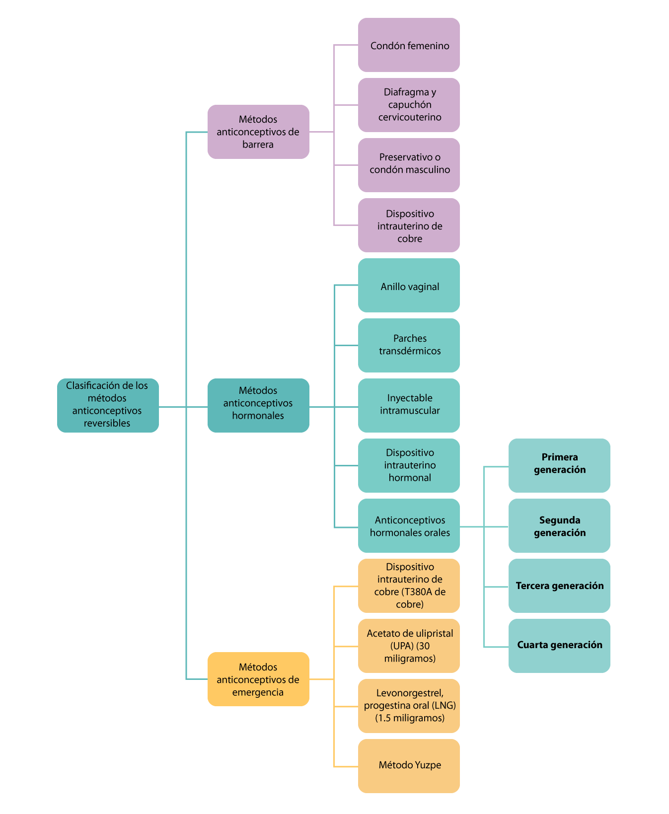 Esquema que muestra los métodos anticonceptivos de barrera, hormonales y de emergencia.