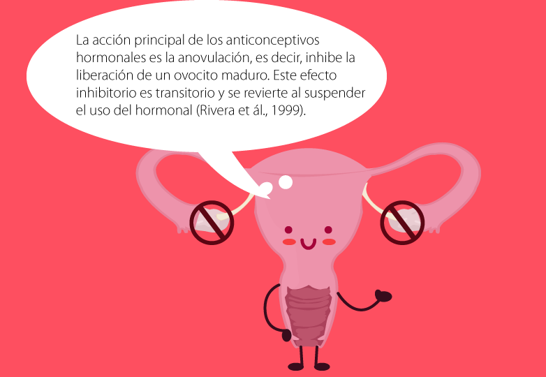 Ilustración que muestra un útero.