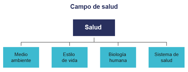 Campo de salud