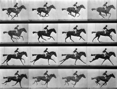Movimientos de un caballo de carreras