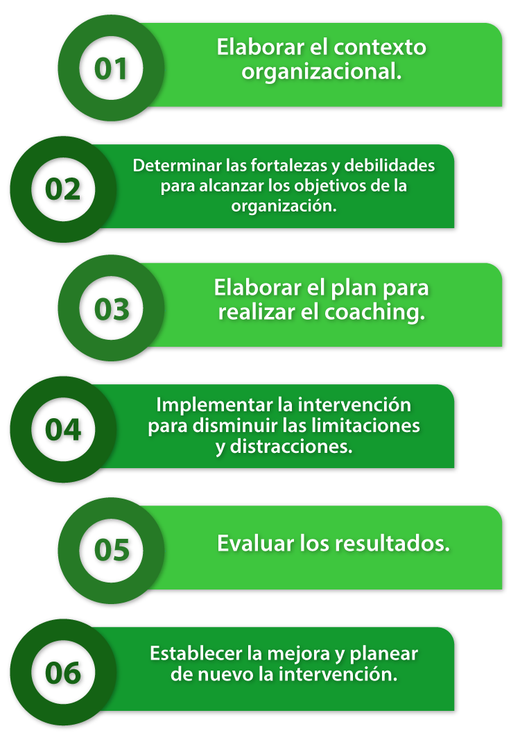 Esquema que indica los elementos de la intervención