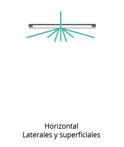 Ilustración de una raíz horizontal