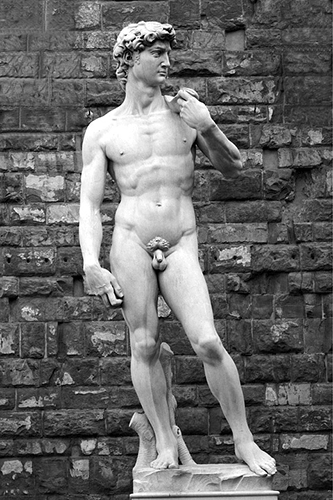 El David