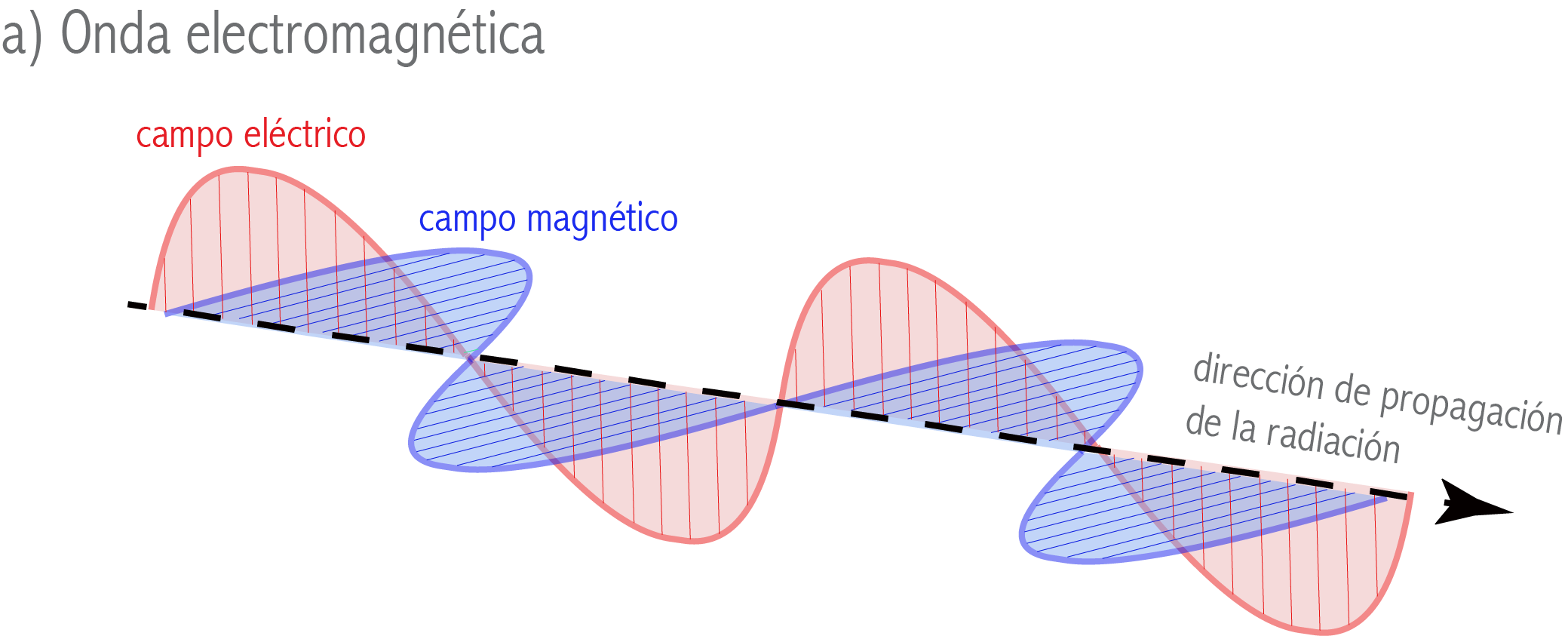 Campos eléctricos y magnéticos de la radiación electromagnética