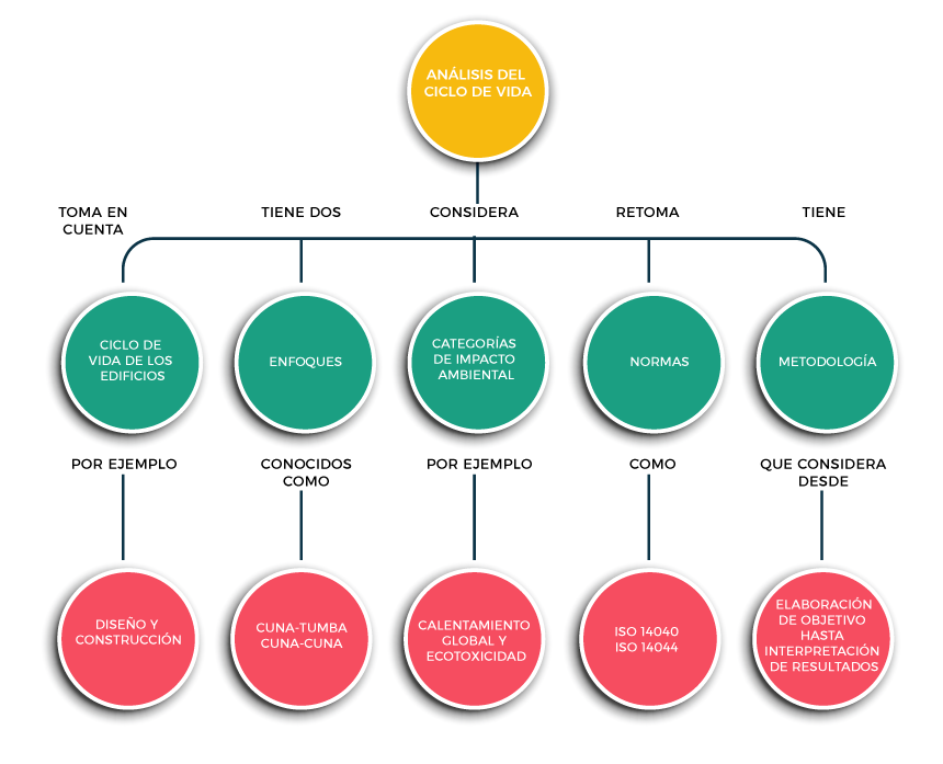 Mapa conceptual de dos niveles. El primer nivel presenta los elementos del ciclo de vida y el segundo nivel ejemplos de cada elemento. 