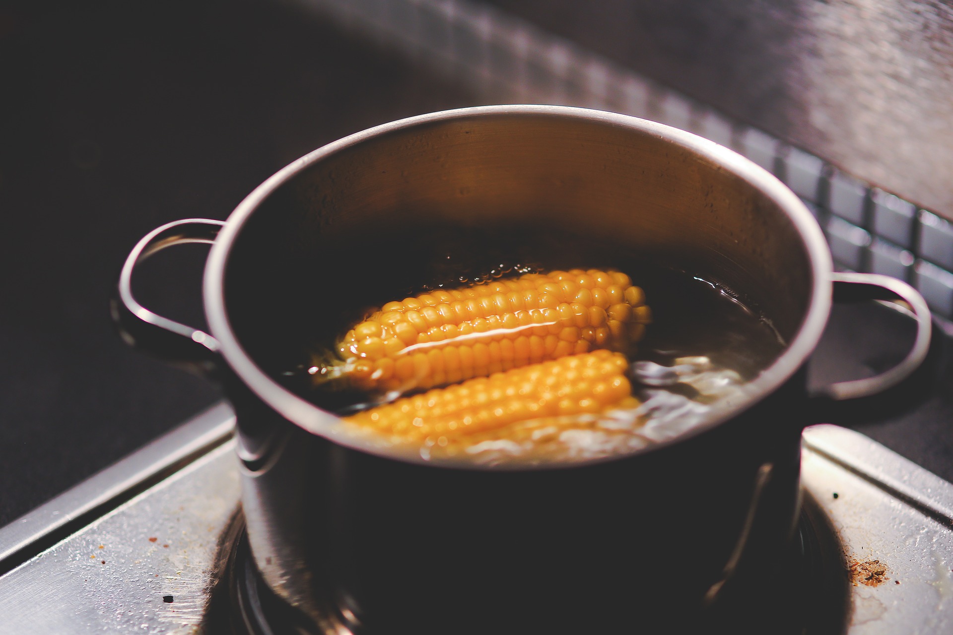 Olla con agua hirviendo y dos elotes 