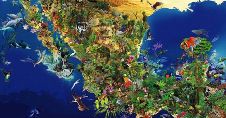 Mapa de la biodiversidad de México. Concepto de biodiversidad Ilustración de mapa de la biodiversidad de México