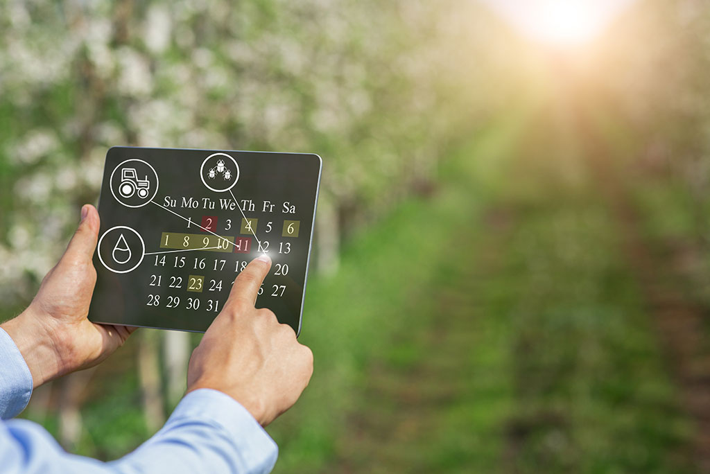 Persona planifica actividades agrícolas en agenda digital con fondo de campo de cultivos