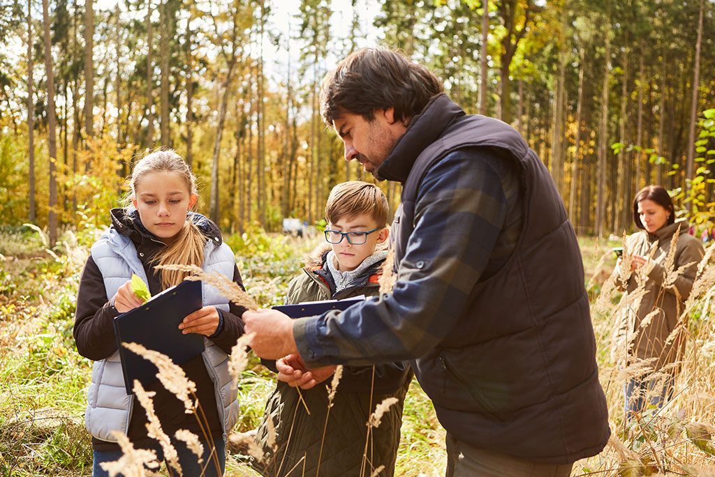 Dos adultos y dos niños examinando vegetación en el bosque