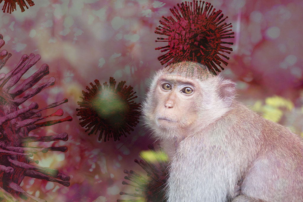 Mono viendo al frente a un fondo de partículas de virus aumentadas en color rojo y rosa, con una atmósfera surrealista y alarmante que sugiere la conexión entre animales y enfermedades zoonóticas