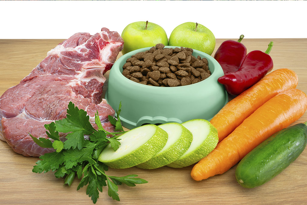 Tazón de comida con croquetas para animales al centro y verduras y filete de carne cruda a los lados
